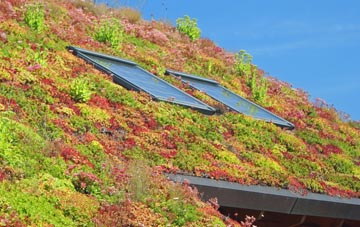 Cicelyford living roof systems