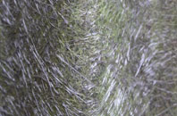 Cicelyford fibreglass roof work